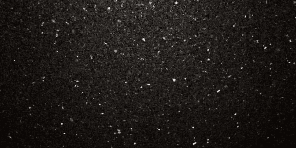 star_gate STAR GATE